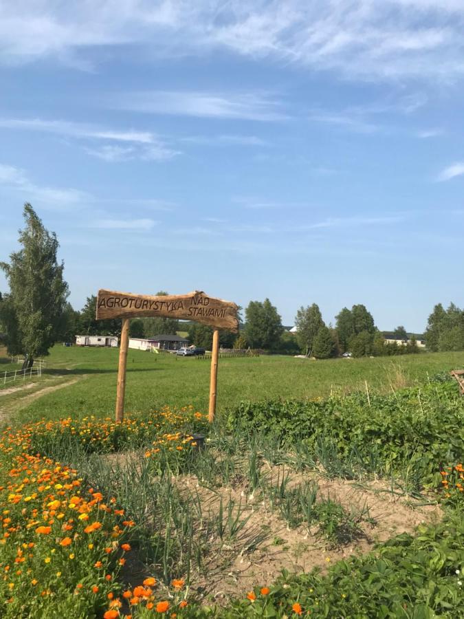 Agroturystyka Nad Stawami Szemud エクステリア 写真